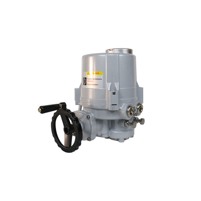 Angular Stroke Electric Valve Actuator