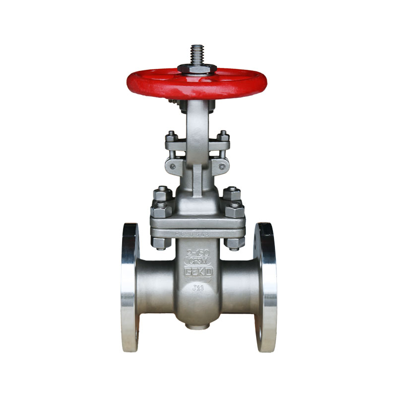 SS Gate Valve Manufacturer